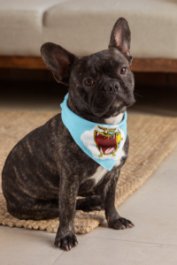 Funny Monster Dog Designs_French Bulldog Wearing Pet Bandana