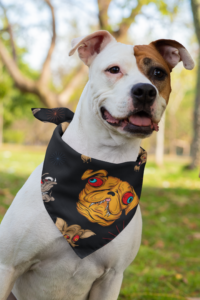 Funny Monster Dog Designs - Pet Bandana